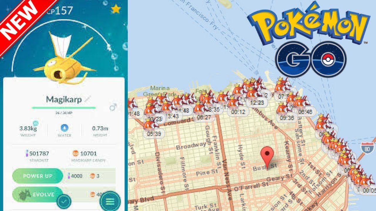 NEW SHINY MAGIKARP NEST POKEMON GO Pokemon