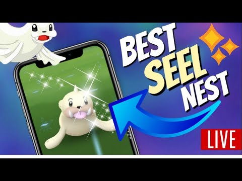 🔴LIVE🔴 DECEMBER COMMUNITY DAY SHINY HUNT | Pokémon GO - Pokemon Go Videos Shiny Litwick Evolutions