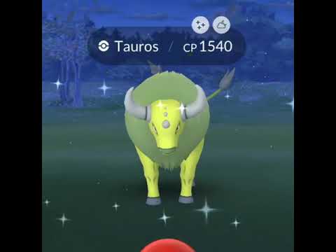 SHINY TAUROS IN POKÉMON GO