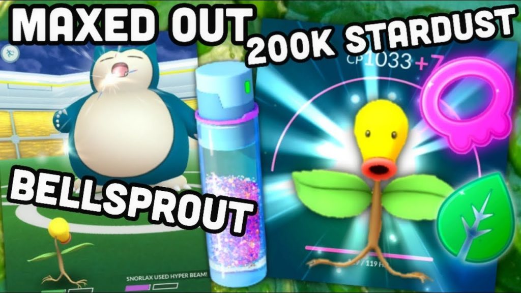 Completely maxed out Bellsprout in Pokemon GO | Over 200,000 Stardust spent