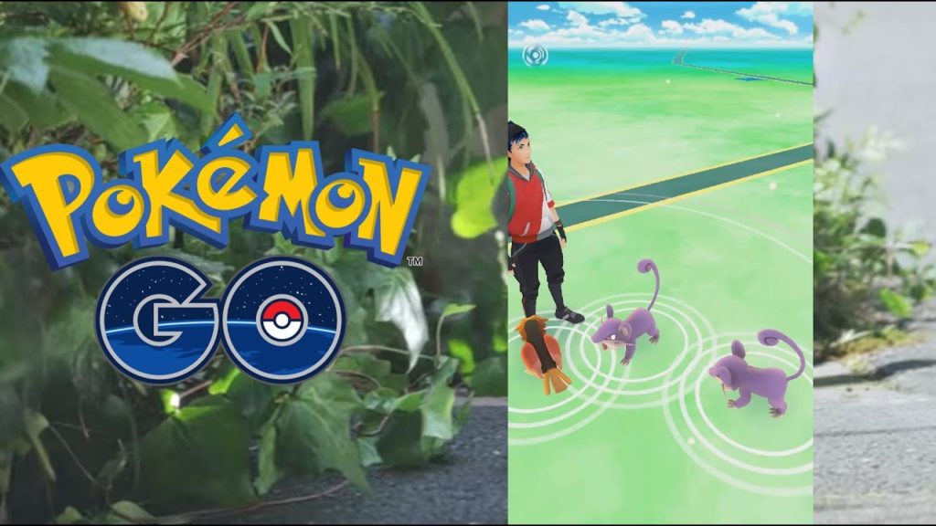 Pokemon GO ZUHAUSE POKEMON FANGEN