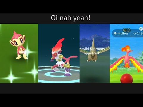 Shiny Chimchar, Infernape release in community day Pokemon Go.