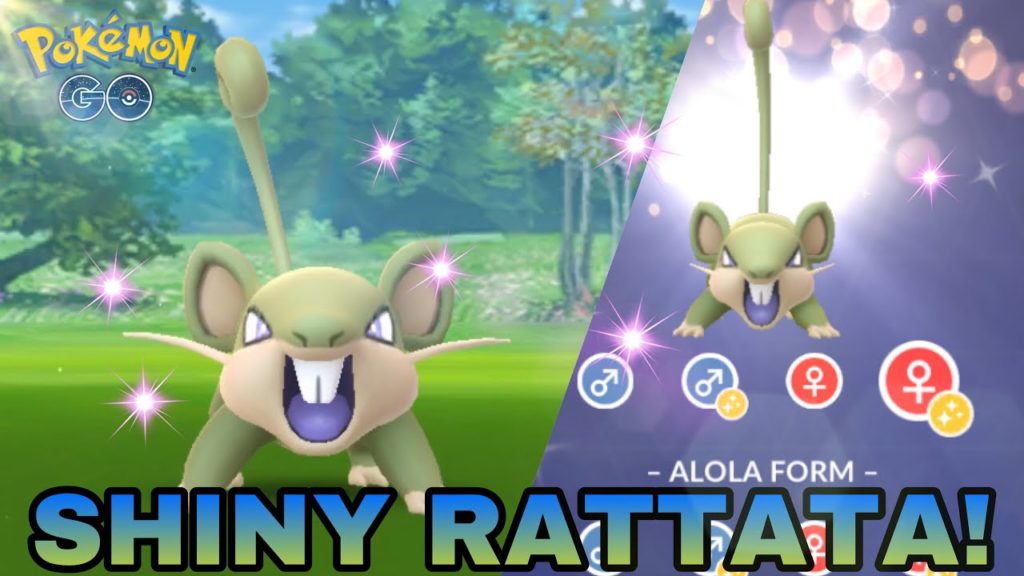 SHINY RATTATA POKEMON GO