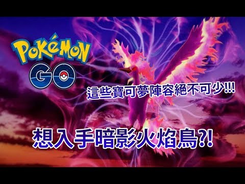 【Pokémon GO】想入手暗影火焰鳥?!（這些寶可夢陣容絕不可少!!!）