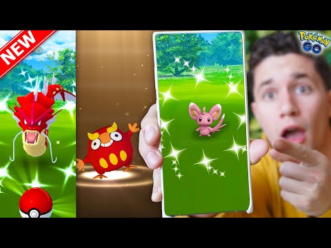 *NEW* SHINY MINCCINO, CINCCINO, DARUMAKA, RESEARCH & MORE! Lunar New Year Event in Pokémon GO