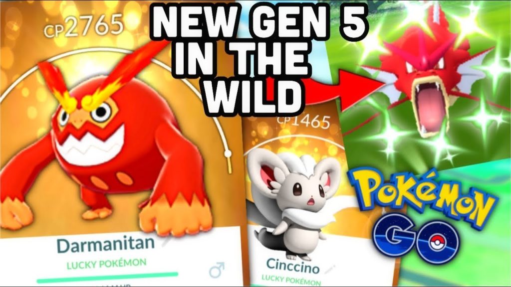 Shiny Minccino tasks Pokemon GO | Darmanitan is amazing | Wild shiny Gyarados | Easy lucky friends