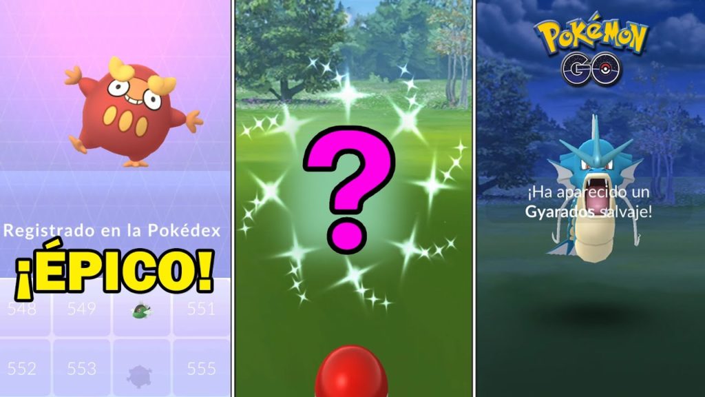 ÉPICO REGISTRO DE DARUMAKA, SHINY DE EVENTO, VARIOS GYARADOS SALVAJES y MÁS del EVENTO - POKEMON GO