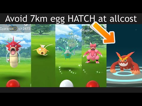 Too many shiny Gyarados in the wild on this Red Lunar Event! 7km egg Darumaka Worth it?