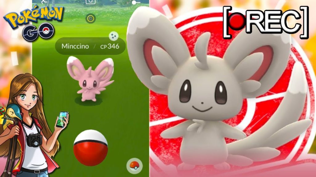 🔴 CAPTURO MI PRIMER MINCCINO SHINY en Pokémon GO (directo resubido)