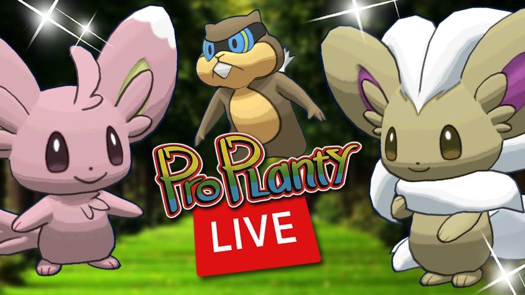 Mincinno Shiny Hunt Day Live Pokemon Go In Australia