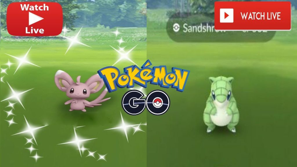 Shiny Minccino Research Day in Pokemon Go High Rodent Spawns