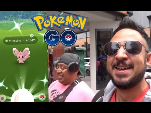 ¡MIRA LO QUE PASO DÍA DE INVESTIGACIÓN MINCCINO SHINY!  POKEMON GO!
