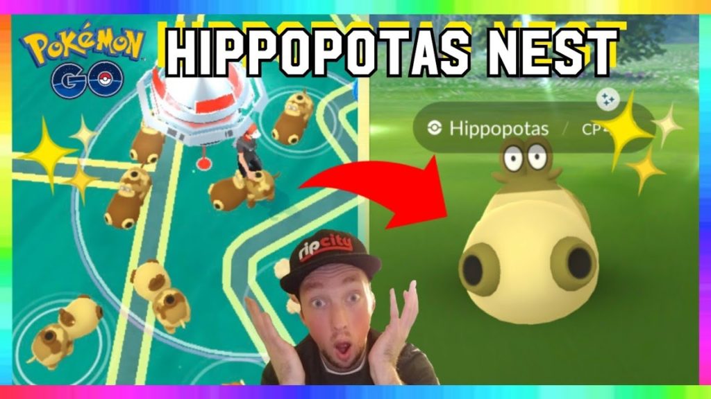 BEST NEW SHINY HIPPOPOTAS NEST IN POKEMON GO! HIGH SPAWN RATES! SINNOH CELEBRATION EVENT