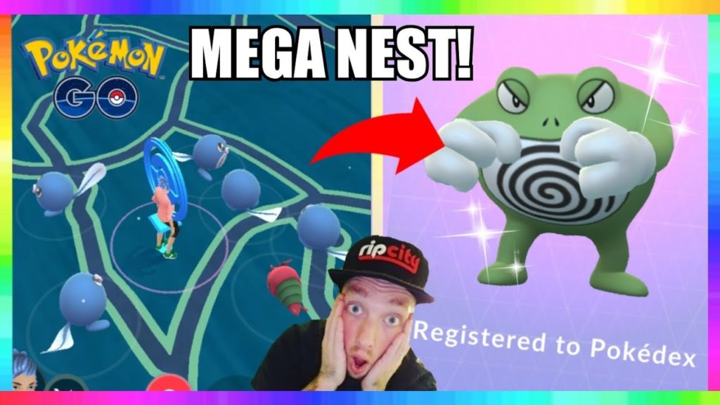NEW MEGA SHINY POLIWAG NEST IN POKEMON GO! SHINY POLIWRATH EVOLUTION!