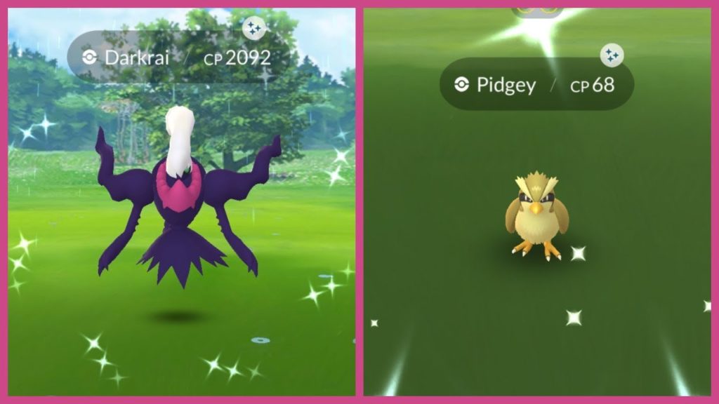 NEW SHINY DARKRAI RAIDS IN POKEMON GO! And New Pidgey Spotlight Hour!