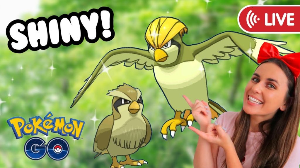 PIDGEY HOUR SHINY HUNT | Pokémon GO