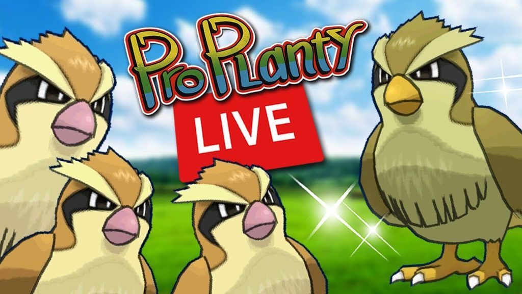 Pidgey Spotlight Hour Shiny Hunt Pokemon Go