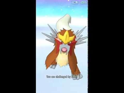 (NO DAMAGE TAKEN) Pokemon Masters 3v1 VH Entei with Barry Team