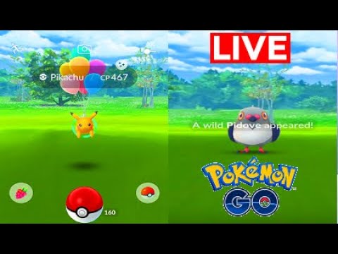 Pokemon Go Shiny Pidove & Flying Pikachu Hunt