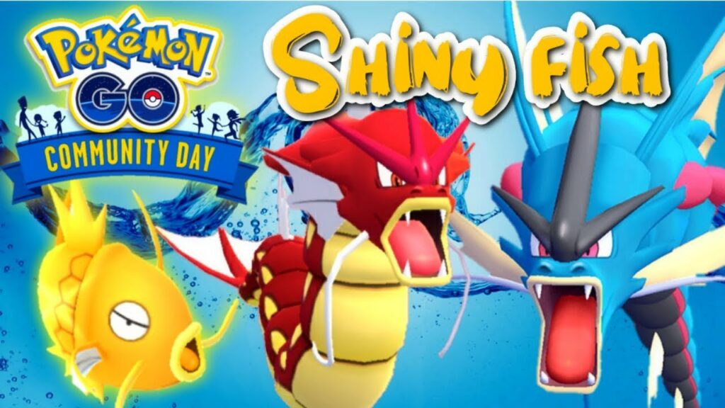 40 Shiny Magikarp on Community Day in Pokemon GO | How good is Aqua Tail Gyarados & Mega Gyarados