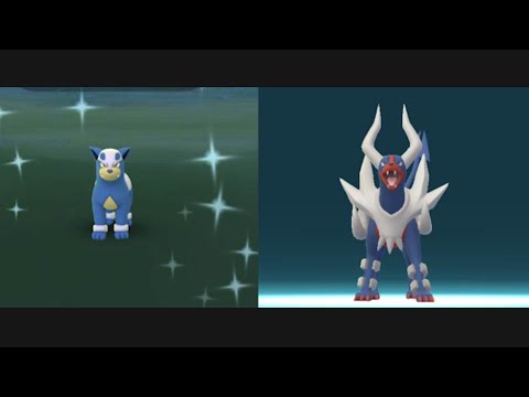 Look shiny Houndour evolves in shiny Mega Houndoom! New Mega Energy in Pokemon Go.