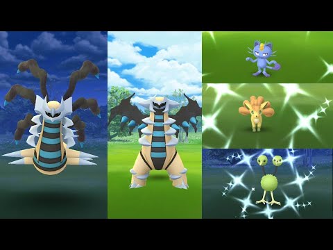 I finally got a shiny Giratina Origin Forme, Plus late shiny doduo catching, Shiny Vulpix and more