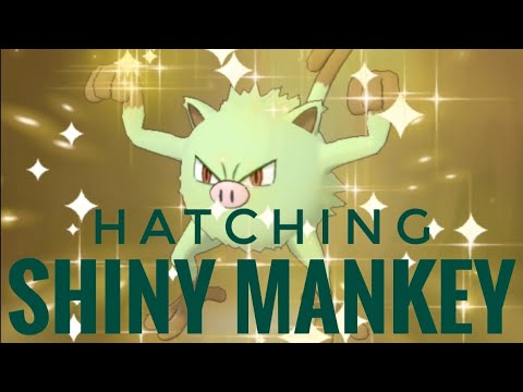 [Pokemon Masters EX] Hatching Shiny Mankey