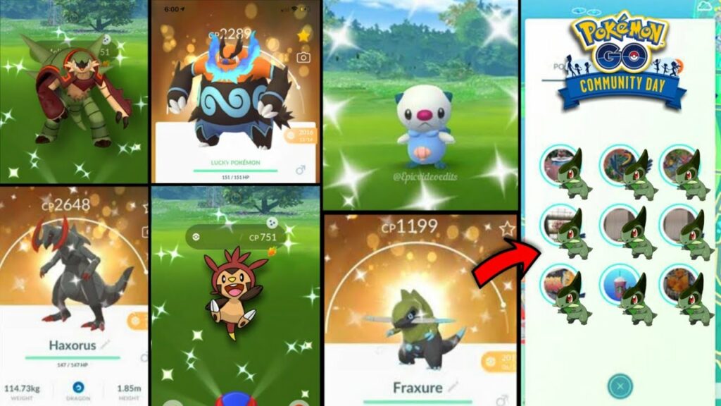 Next community days in Pokemon go | Shiny axew & shiny oshawott community day | Gen 6 shiny pokemon.