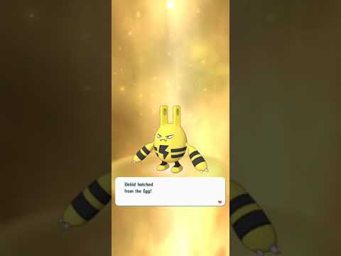 Shiny Elekid VS Elekid - Pokemon Masters EX