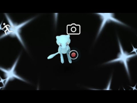 A 1000+ hour research just to get a Shiny Mythical Mew!