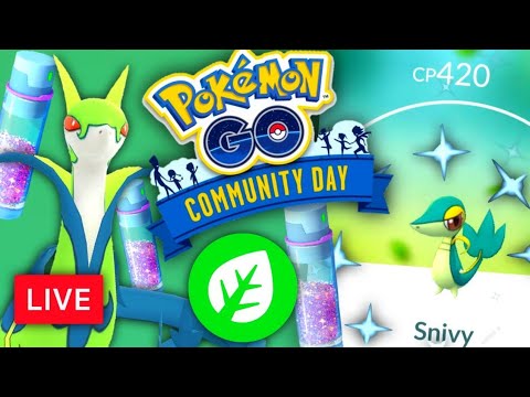 Shiny Snivy Stardust Community Day in Pokemon GO ALASKA