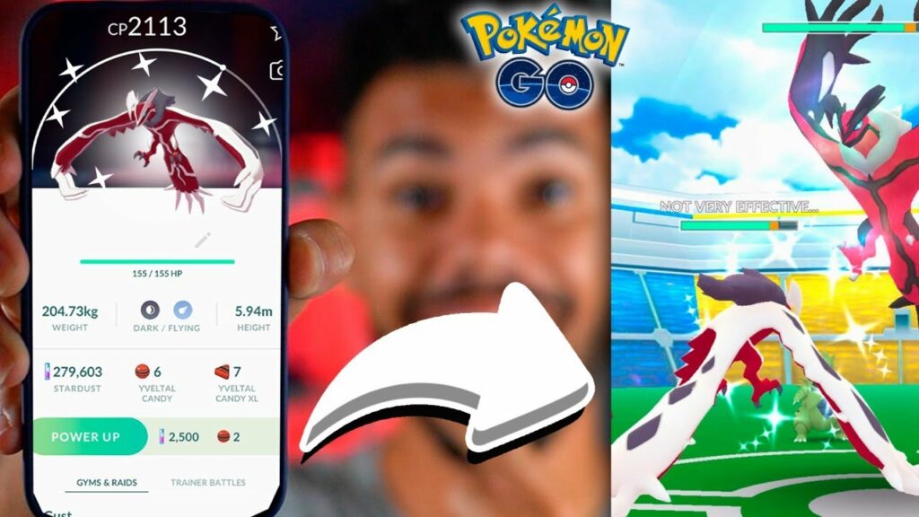 YVETAL SHINY FAZENDO RAIDS DE YVETAL - POKEMON GO | Cris |
