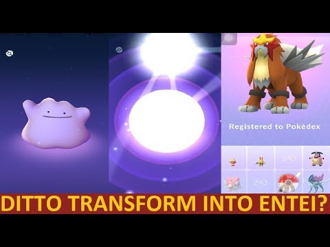 DITTO VS ENTEI RAID BATTLE IN POKEMON GO! DITTO TRANSFORMS INTO ENTEI?!