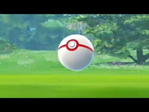 Crazy moment for all trainers in pokemon go