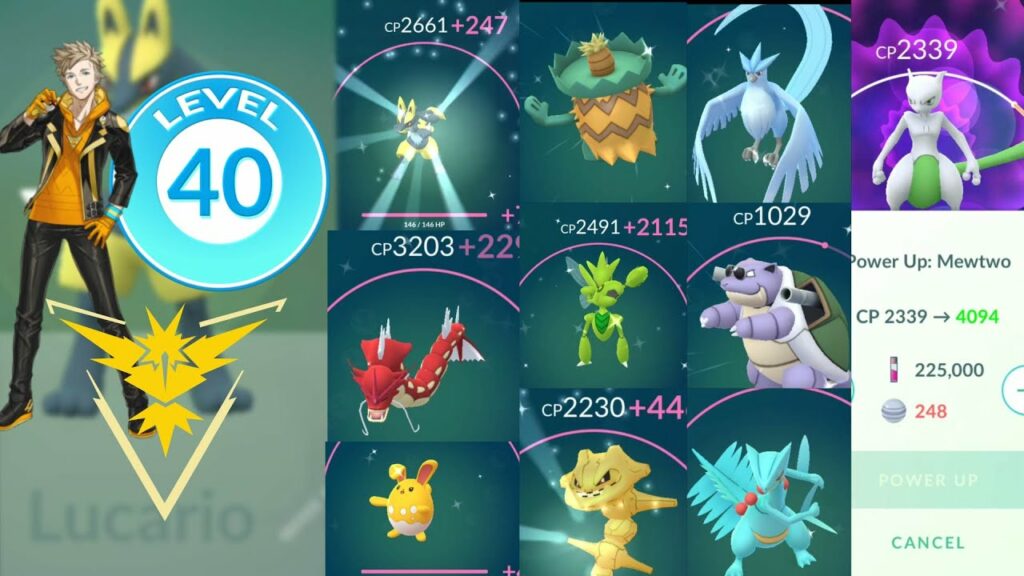 Not all Level 40 (Instinct) Stardust Millionaire are strong! Powering up Shiny that fit for GBL?