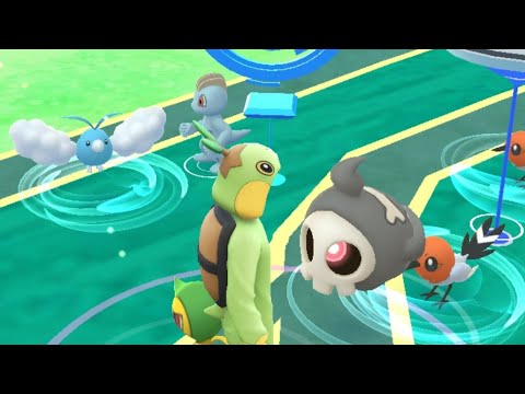 December Community Day Live Shiny Hunt Pt 1 Day 1 Pokemon Go
