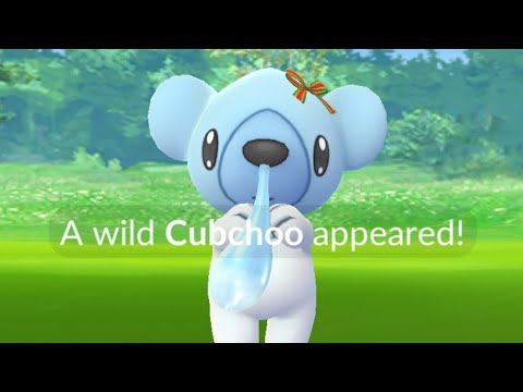 Cubchoo Shiny Hunt Spotlight Hour Pokemon Go Live