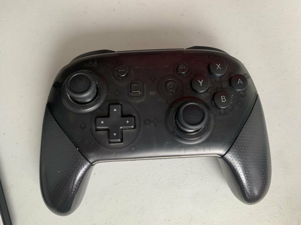 Best FAKE Pro Controller I've Ever Seen