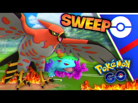 Talonflame everything in Great GO Battle League for Pokemon GO // Shadow Venusaur Sweep city