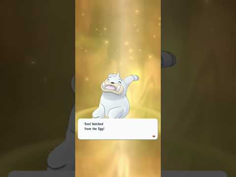 [Pokemon Masters EX] - Hatching Three dumb Seals One After The Other !!