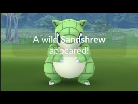 Shiny Sandshrew Community Day Live Pokemon Go Shiny Hunt
