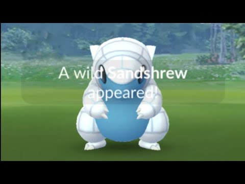 Shiny Sandshrew Community Day Live Pokemon Go Shiny Hunt Pt2