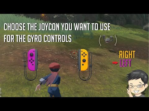 Nintendo Switch: Accessibility for All