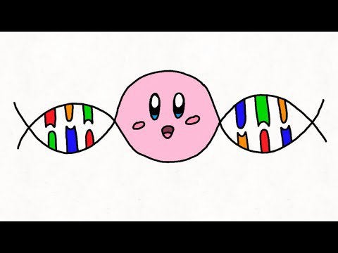 The Science Of Kirby And The Forgotten Land