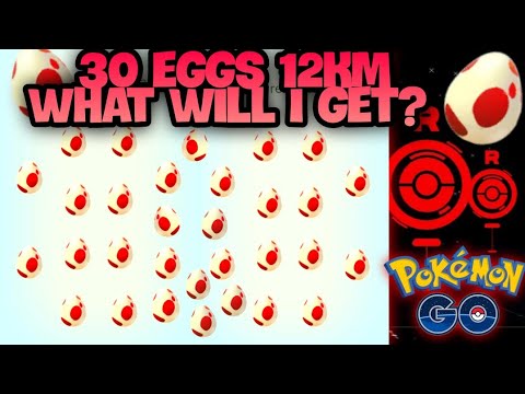 I hatched 30 12km eggs in Pokemon GO this is what I got...