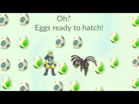 Too many Suprise hatches from 10 & 12 km eggs...... (Pokemon go)