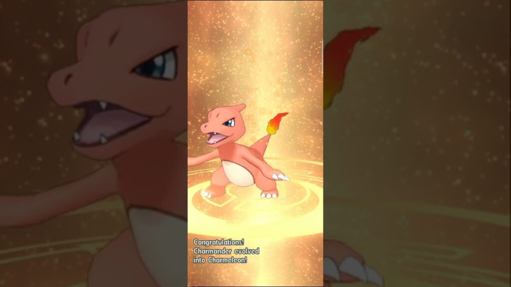 Evolving my Charmander into Charizard/POKEMON MASTERS EX
