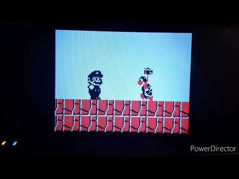 I thought this was a really nostalgic thing to find on my DSI.