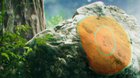 New mysterious images for Pokémon Scarlet & Violet