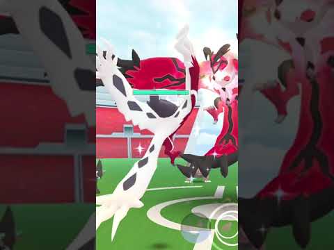 Trying Shiny ditto to Shiny Yveltal Legendary Raid | #Shorts Pokemon Go